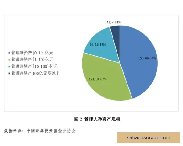 全面解析2026年世界杯晋级规则变化与各洲名额分配影响趋势
